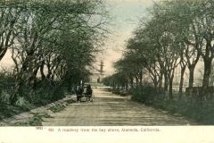 A_Roadway_from_the_Bay_Shore_Alameda_CA