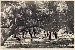 Under_the_Old_Oak_Trees_Washington_Park_Alameda_California