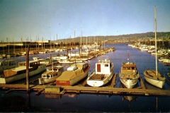 Alameda_Yacht_Harbor_Alameda_California_YL4811