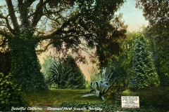 A vintage postcard shows lush gardens with trees and large agave plants at Claremont Hotel Grounds in Berkeley, California. The foreground features a sign mentioning admission fees. Text reads Beautiful California - Claremont Hotel Grounds, Berkeley.
