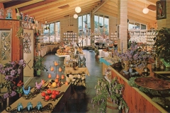 Dons Gift Shop, 555 Peralta Blvd. Fremont, California. A spacious, rustic gift shop with high wooden ceilings and large windows. Tables display colorful candles, ceramics, plants, and other decorative items. Shelves in the background hold various products. Bright and inviting atmosphere.