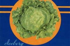 Vintage label for Everfirm brand iceberg head lettuce, featuring an illustration of a large lettuce on a blue background. Text includes Alvarado Vegetable Growers, Alvarado, Alameda Co., California and Produce of U.S.A.