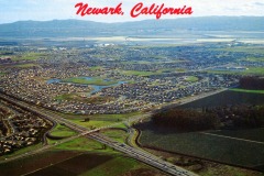 Aerial view of Newark, California. The landscape features sprawling residential areas with numerous houses, greenery, and a body of water. A highway with a cloverleaf interchange cuts through the scene. Hills and mountains are visible in the distance.