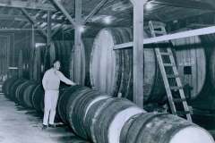 Old Stanford Winery, Warm Springs, Alameda County. A person stands in a large warehouse, inspecting rows of massive wooden barrels stacked horizontally. The barrels line the walls, with some smaller barrels in the foreground. Wooden beams and a ladder are visible.