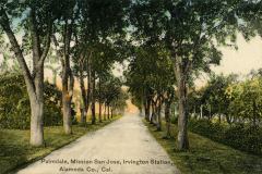 A tree-lined dirt path extends into the distance, flanked by tall, leafy trees on both sides. The scene is peaceful and serene, with greenery surrounding the path. Text at the bottom reads: Palmdale, Mission San Jose, Irvington Station, Alameda Co., Cal.