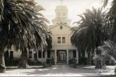 A vintage photograph of a large building with a central tower topped by a cross. The building is flanked by tall palm trees lining the path leading to the entrance.