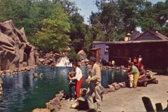 People fish at a small, rocky pond with a waterfall in Frontier Village, San Jose, California. Surrounded by trees and rustic wooden buildings, visitors relax on benches or stand by the water’s edge, enjoying a sunny day outdoors.