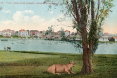 View_Across_Lake_Merritt_Oakland_California_1678