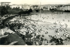 A vintage black and white photo of numerous ducks gathered at the edge of Lake Merritt in Oakland. Buildings and trees are visible in the background. Text on the image reads Wild Ducks at Lake Merritt, Oakland, Cal.