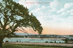 Vintage postcard illustration of Lake Merritt, Oakland, California, featuring a large tree in the foreground, a calm lake with small boats, and buildings along the shore under a cloudy sky.