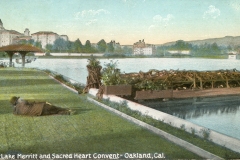 A person lies on the grass near Lake Merritt in Oakland, California, with a gazebo and leafy structures on a pier nearby. Across the lake, buildings including the Sacred Heart Convent are visible under a clear sky.