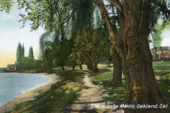 Vintage postcard image depicting a serene lakeshore at Lake Merritt, Oakland, California. A dirt path is lined with tall trees on the right, and houses are visible in the distance. The lakes calm water is on the left.