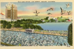 Vintage postcard depicting a view of Lake Merritt in Oakland, California, with numerous birds in the sky and on the water. A building and green lawns are visible in the background under a colorful sky. Text at the top reads Wild Game Refuge, Lake Merritt, Oakland, California.