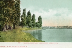 A vintage postcard of Lake Merritt in Oakland, California. The image shows lush willows and poplars along the lakes edge, with a path running beside the water. The sky is partly cloudy, creating a serene and picturesque scene.