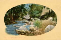 Vintage postcard depicting a creek scene at Cresta Blanca, Livermore, California. It shows a flowing stream surrounded by lush trees and rocky banks on a sunny day.