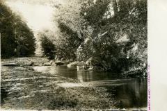 A serene creek flows through a wooded area, surrounded by trees and rocks. Sunlight filters through the foliage, creating a calm and picturesque scene. The photo has a vintage appearance and Arroyo Blanca, Riverside, Cal. is printed in purple text on the right.