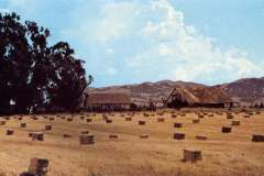 A rural landscape featuring numerous hay bales scattered across a golden field. Two rustic barns and a large tree stand in the background, set against rolling hills and a bright blue sky with fluffy clouds.
