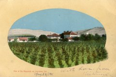 A vintage postcard shows a vineyard in Livermore, California, with a distant view of a farmhouse and hills under a blue sky. Handwritten text reads, With love from and is dated May 24, 1911.