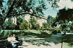 Public Library, Livermore, California old postcard. Two people sit on a bench reading a newspaper in a lush, green park with trees and bushes. A large, grand building is visible in the background. The setting is peaceful and sunny.