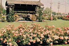 A wooden wagon with large wheels is surrounded by lush green grass and blooming pink roses. A child in a red outfit stands nearby, looking at the structure. Power lines and tall bushes are visible in the background.