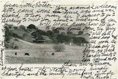 A vintage postcard features a tranquil rural scene with grazing cows in a field, a few barns, and rolling hills in the background. The image is overlaid with cursive handwritten text addressing Little Esther and discussing travel plans and greetings.