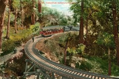 A vintage postcard shows a small steam train on a curved wooden trestle bridge in a forested area. Passengers are visible in open carriages, surrounded by tall trees. Text at the top reads, Gravity Car, Mt. Tamalpais Railway, California.