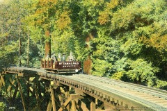 A vintage image shows a small group of people riding an open-air gravity car labeled Mt. Tamalpais across a wooden trestle through a dense forest of tall trees. The sky is clear and blue.
