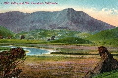 Vintage postcard illustration of Mill Valley and Mount Tamalpais in California. The scenic view features a river winding through lush green fields, with a large mountain in the background under a partly cloudy sky.