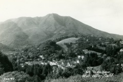 A black-and-white photo of Mt. Tamalpais in Mill Valley, California, showing the mountain prominently in the background with a forested landscape and scattered houses in the foreground.