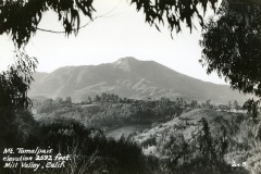 Black and white photo of Mt. Tamalpais, elevation 2,592 feet, located in Mill Valley, California. The foreground features trees framing a distant view of the mountain under an open sky.