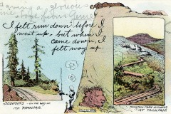 A vintage postcard shows two scenes of Mt. Tamalpais. Left: A path surrounded by sequoias. Right: A mountain train ascending through hilly terrain. Handwritten text says, I felt run down before I went up, but when I came down, I felt way up.