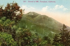 Vintage postcard illustration of Mt. Tamalpais in California. The summit is visible with a structure on top, surrounded by lush trees and a clear blue sky. Text reads: 233 – Summit of Mt. Tamalpais, California.