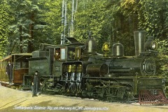 A vintage steam locomotive labeled MT TAMALPAIS travels through a lush forest on the Mt. Tamalpais Scenic Railway. Two men stand near the train, and tall trees surround the tracks. Text reads: Tamalpais Scenic Ry. on the way to Mt. Tamalpais, Cal.