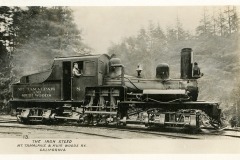 A vintage black and white photograph of a steam locomotive marked Mt. Tamalpais and Muir Woods Ry. The train is labeled The Iron Steed and is moving on a track with a forest in the background. A person is visible in the cab.