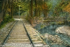 Railway tracks curve through a lush redwood forest with vibrant foliage. A wooden bridge crosses a tranquil stream on the right. Text reads: Through the Redwood Forest, Mt. Tamalpais Scenic Railway, Approaching Mt. Tamalpais, California.