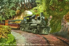 A vintage steam train travels through a lush wooded area on its way up Mount Tamalpais, California. Smoke rises from the engine as it pulls several open passenger cars along the curved track.