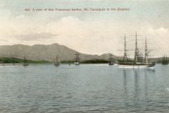 A_view_of_San_Francisco_harbor_Mt_Tamalpais_in_the_distance_663