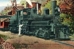 A vintage steam locomotive with the number 5 is stopped on tracks surrounded by trees and hills. A person in white overalls is examining the engine. In the background, there’s a partial view of passenger cars and a red water tower.