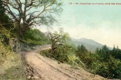 A dirt path winds through a forested area with a large tree on the left. In the distance, Mount Tamalpais is visible under a clear sky. The scene is peaceful and natural, showing rugged terrain and lush greenery.