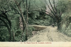 The_Wagon_Road_Mt_Tamalpais_California_517