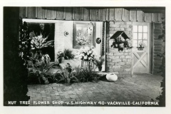 Vintage photo of Nut Tree Flower Shop on U.S. Highway 40, Vacaville, California. Features flower arrangements, brick walls, a small mailbox, a wooden door with a wreath, and a rustic pot on a brick floor.