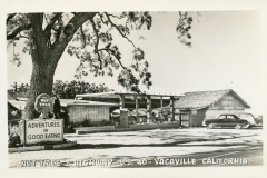 Vintage photo of the Nut Tree restaurant on Highway U.S. 40 in Vacaville, California. The sign reads Adventures in Good Eating. A classic car is parked near the entrance. Trees partially shade the building.
