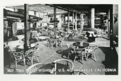Black and white photo of Nut Tree patio on Highway U.S. 40, Vacaville, California. The outdoor area features round tables with rattan chairs and a few large umbrellas, surrounded by lush plants and structures providing shade.