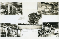 Collage of vintage photos featuring the Nut Tree in Vacaville, California. The images show the interior and exterior, including a restaurant, dining tables, a tree, and shelves filled with products. Text in the center reads The Nut Tree, Vacaville, California.