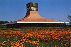A uniquely shaped building labeled Coffee Tree with a wide, circular roof sits amid a field of bright orange flowers under a clear blue sky.