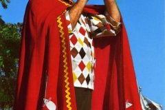 A person dressed in a red cape with yellow trim and a pointed hat plays a flute. They wear a harlequin-patterned shirt. Trees and a flag are visible in the background against a clear blue sky.