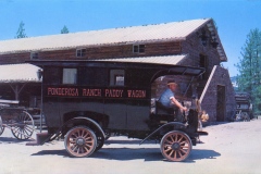 A vintage, black Ponderosa Ranch Paddy Wagon with wooden wheels is parked in front of a rustic log building. A man in a hat sits in the drivers seat. The scene is outdoors on a sunny day with trees in the background.
