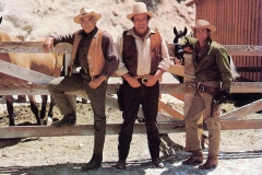Three men, the Cartwrights, Ben, Hoss and Little Joe in cowboy attire stand in front of a wooden fence. Two wear tan hats and brown vests, and the third wears a green shirt with a dark hat. A horse is visible behind the fence in a rustic outdoor setting.