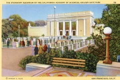 A vintage postcard illustration of the Steinhart Aquarium at the California Academy of Sciences in San Francisco, featuring an art deco building, lush greenery, visitors, and a lamp in the foreground with a park bench nearby.