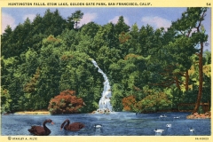 Vintage postcard illustration of Huntington Falls in Stow Lake, Golden Gate Park, San Francisco. Features a waterfall amidst lush trees, with swans and ducks on the lake. Text notes location and photographer.